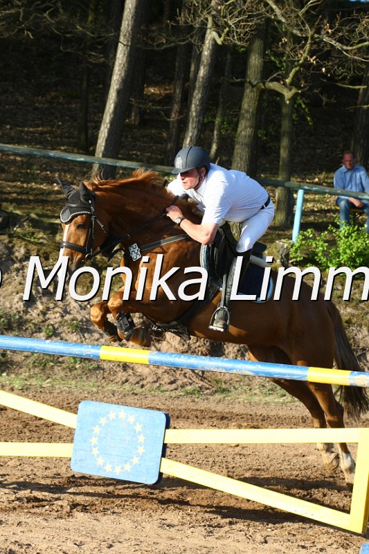 204M8955_Paulinchen_Punkte M.JPG